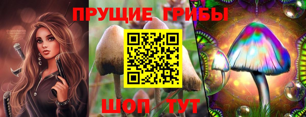Галлюциногенные грибы ЛСД Боровичи